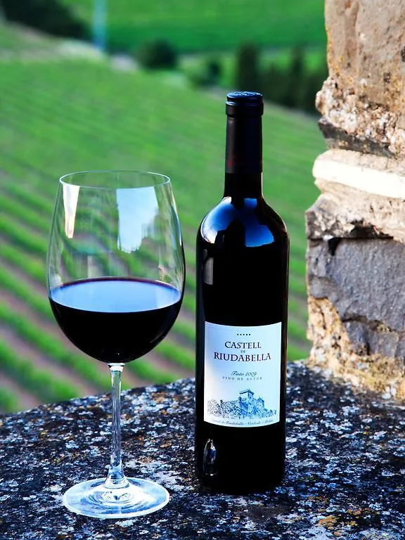 Castell De Riudabella Apartment Vimbodi I Poblet