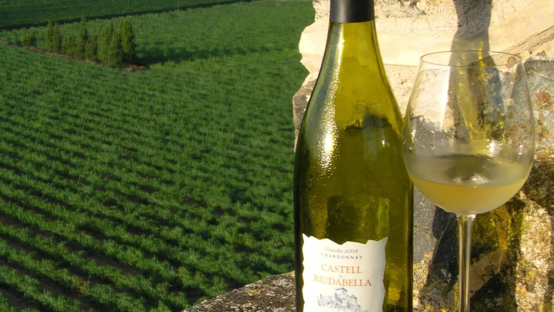 Castell De Riudabella Apartment Vimbodi I Poblet